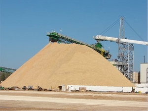 100 тысяч тонн пеллет из отходов лесохимического комплекса на Енисее ##f_price|CURR_SIGN##