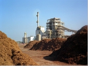 Биомасса делает Онтарио энергетически независимым ##f_price|CURR_SIGN##