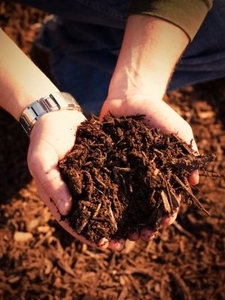 Продам  БИОМАССУ  (растительного происхождения) для  электростанций грн.0