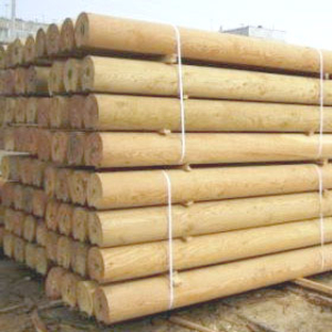 Продам оцилиндрованное бревно грн.0