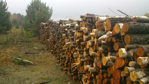 Дрова колотые твердых пород грн.0