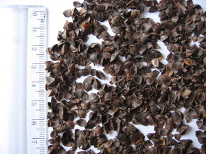 Продаем шелуху (лузгу) гречихи грн.0