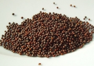 В последнем квартале 2012 года Китай увеличит объем импорта рапса ##f_price|CURR_SIGN##