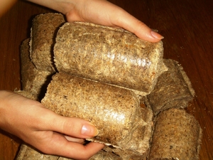 Предприятие изготовляет топливный брикет Nestro грн.0