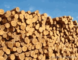 Дрова по самым доступным ценам грн.0