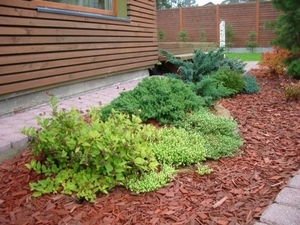 Продам по самым выгодным ценам мульчу (сосновая кора) грн.0