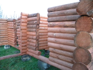 Продам оцилиндрованные бревна грн.0