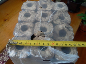 Piny-Kay из опилок твёрдых пород дерева (дуб, бук) грн.0