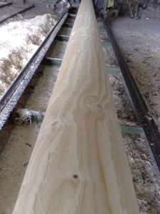 Продам оцелиндрованные бревна грн.0