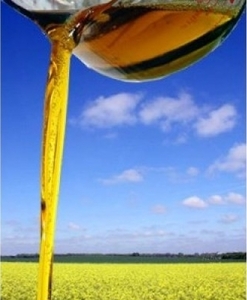 В 2012 МГ в Украине производство рапсового масла возросло в 8 раз ##f_price|CURR_SIGN##