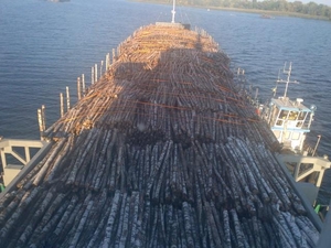 Предлагаем пиломатериалы, оптовые цены грн.0