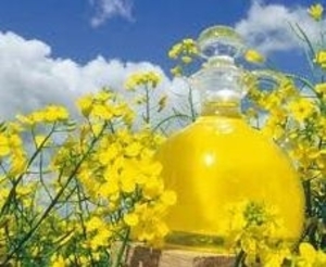 Предлагаем неочищенное рапсовое масло DIN 51605 грн.0