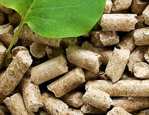 Котельные Донецка переведут на твердое биотопливо ##f_price|CURR_SIGN##