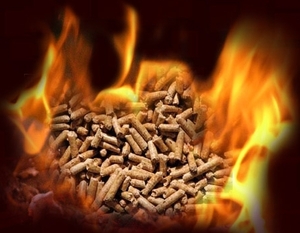 Cпрос на твердое биотопливо в мире превышает предложение ##f_price|CURR_SIGN##