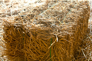 Продаем солому с доставкой по Украине грн.0