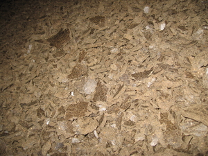 Жмых низко-протеиновый из подсолнечника грн.0