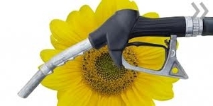 Куплю БиоЭтанол грн.0