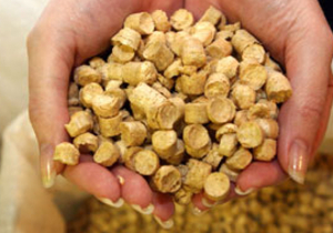 Ищу инвестора в бизнес-проект по производству пеллет! грн.0