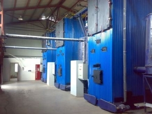 Школьные котельные переведут на твердое биотопливо в 2013 ##f_price|CURR_SIGN##