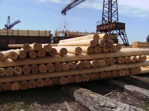 Продам оцилиндрованное бревно из Ангарского леса грн.0