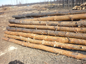 Рудстойка по низким ценам грн.