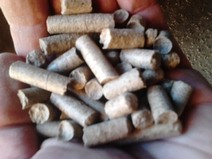 Продам пеллеты  грн.1700