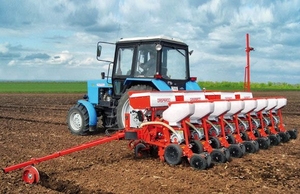 Южная Украина обеспечена семенами рапса на 106% в 2013 ##f_price|CURR_SIGN##