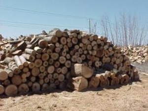 Дрова твердых пород грн.200