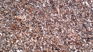 Предприятие предлагает щепу твердых и фруктовых пород грн.0