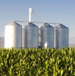 Немецкие инвесторы готовы вложить свои деньги в украинское производство биогаза ##f_price|CURR_SIGN##