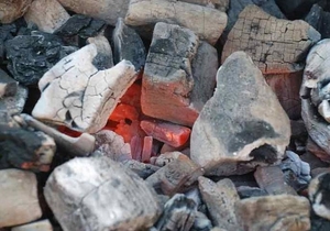 В 2012 году объем экспорта древесного угля из Украины сократился на 15% ##f_price|CURR_SIGN##