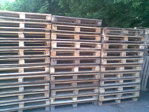 Продам поддоны 1200х800 б/у светлые грн.22