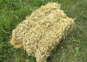 Ржаная солома в тюках грн.25