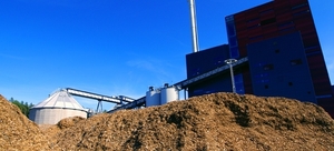 Власти Польши предлагают план поддержки предприятий, использующих биомассу  ##f_price|CURR_SIGN##