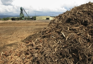 Потенциал Украины – 27 млн. тонн условного биотоплива в год ##f_price|CURR_SIGN##