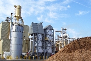 Рынок биомассы в Польше: чтобы поддержать производителя, нужно поощрить потребителя ##f_price|CURR_SIGN##