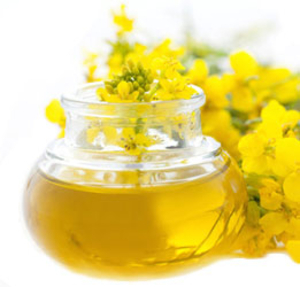 Pапсовое масло нерафинированое до 900 тонн грн.0