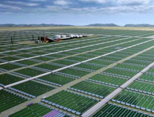 В США выработка биотоплива из микроводорослей может достичь 25 млрд. галлонов ##f_price|CURR_SIGN##