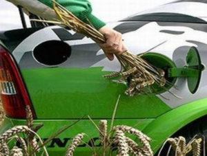 Рекордные продажи биотоплива на АЗС КЛО ##f_price|CURR_SIGN##