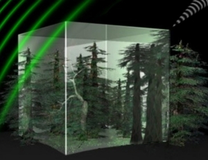 Растительную биомассу Земли измеряют с помощью радиолокатора Biomass ##f_price|CURR_SIGN##