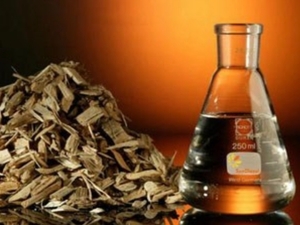 Fortum осваивает в Финляндии производство биотоплива ##f_price|CURR_SIGN##