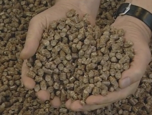 Еще один завод по производству пеллет планируют построить в Запорожской области ##f_price|CURR_SIGN##