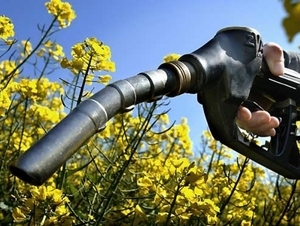 Производство биотоплива: Украина изучит опыт американских коллег ##f_price|CURR_SIGN##