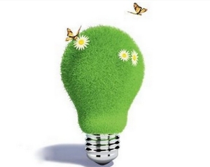 Депутаты предлагают ввести "зеленый тариф" на электроэнергию из биомассы ##f_price|CURR_SIGN##