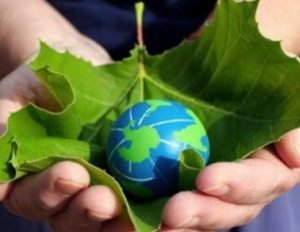 115 объектов "зеленой" энергетики действует в Украине ##f_price|CURR_SIGN##