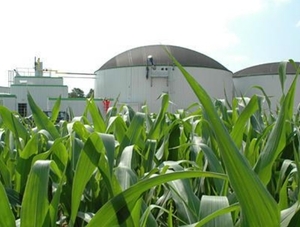 Строительство биогазового завода в Украине профинансирует ЕБРР ##f_price|CURR_SIGN##