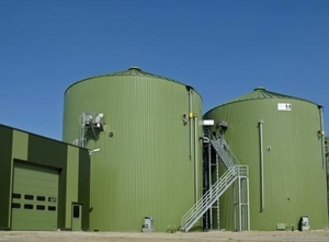 Биогаз будут производить из навоза крупного рогатого скота по новой технологии ##f_price|CURR_SIGN##