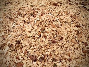 Продам технологическую щепу из хвойных пород древисины грн.0