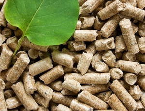 Хаос на рынке "зеленых сертификатов" в Польше ##f_price|CURR_SIGN##