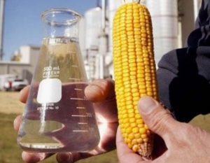 Биотопливо может всколыхнуть мировой рынок нефти ##f_price|CURR_SIGN##